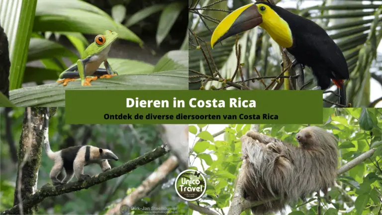 Costa Rica en diersoorten