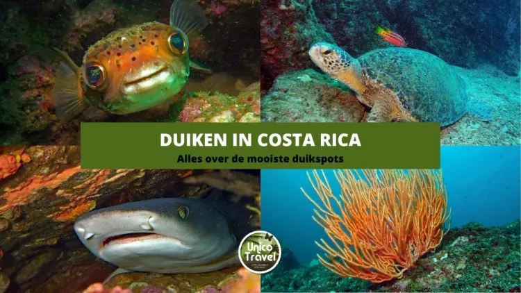 Duiken in Costa Rica