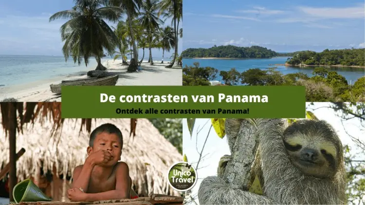 Kopie van contrasten van panama