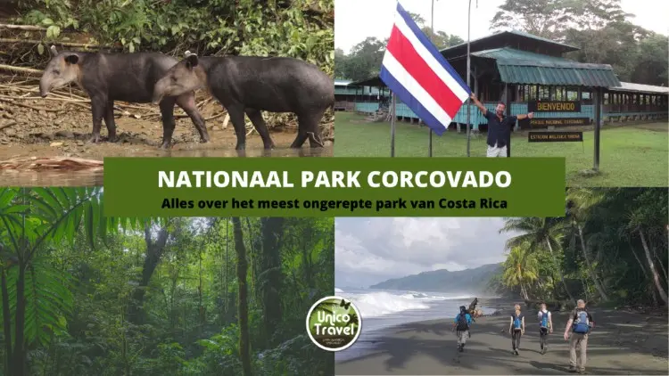 Nationaal park corcovado