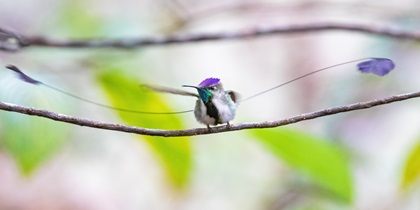 reizen naar Costa Rica