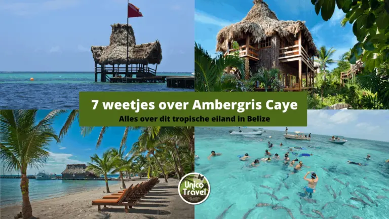 ambergris caye belize