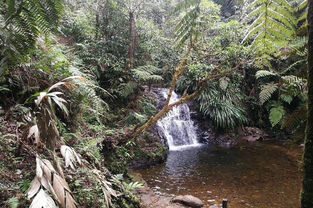 Coban Guatemala Hoogtepuntenreis