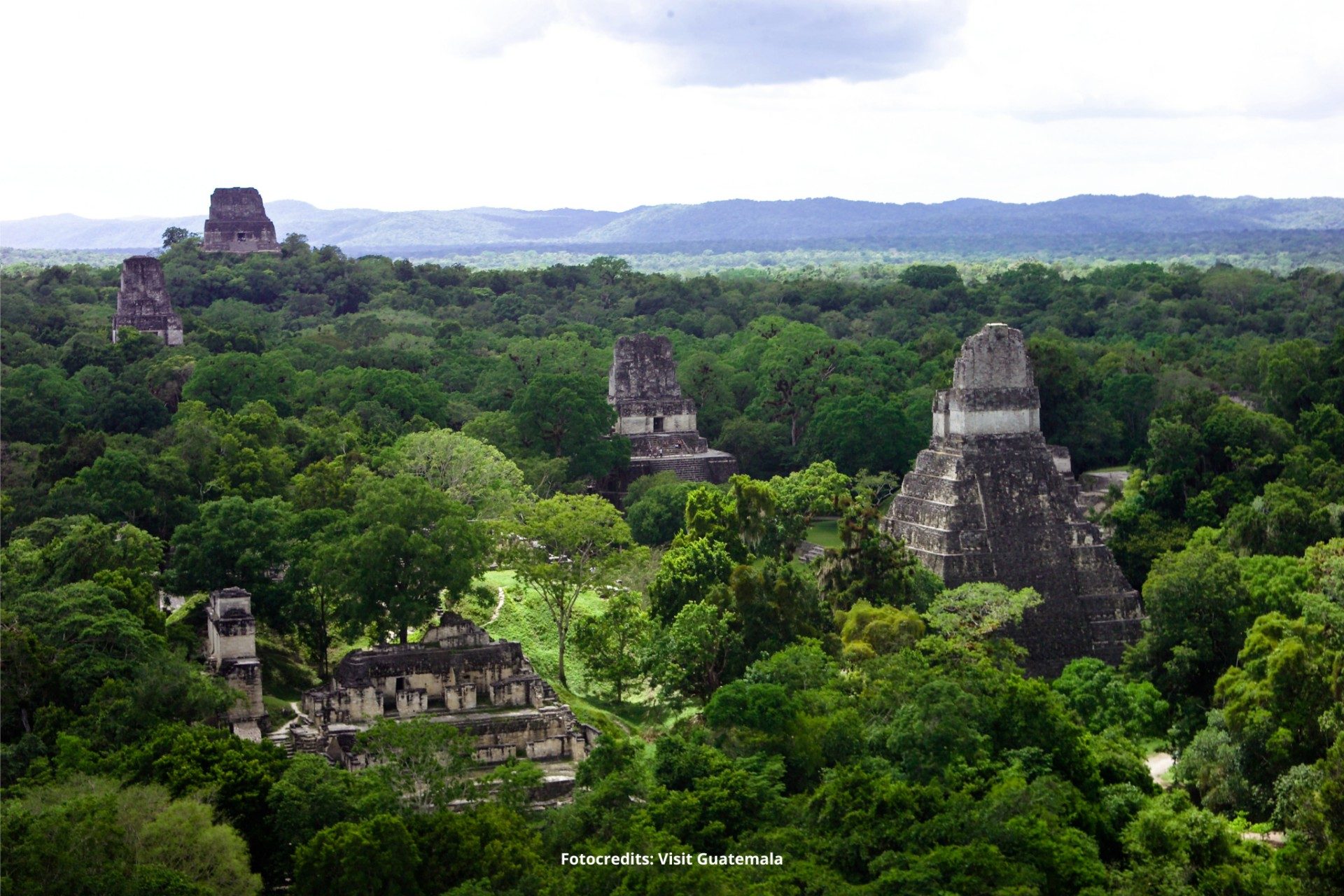 Tikal Guatemala Hoogtepuntenreis