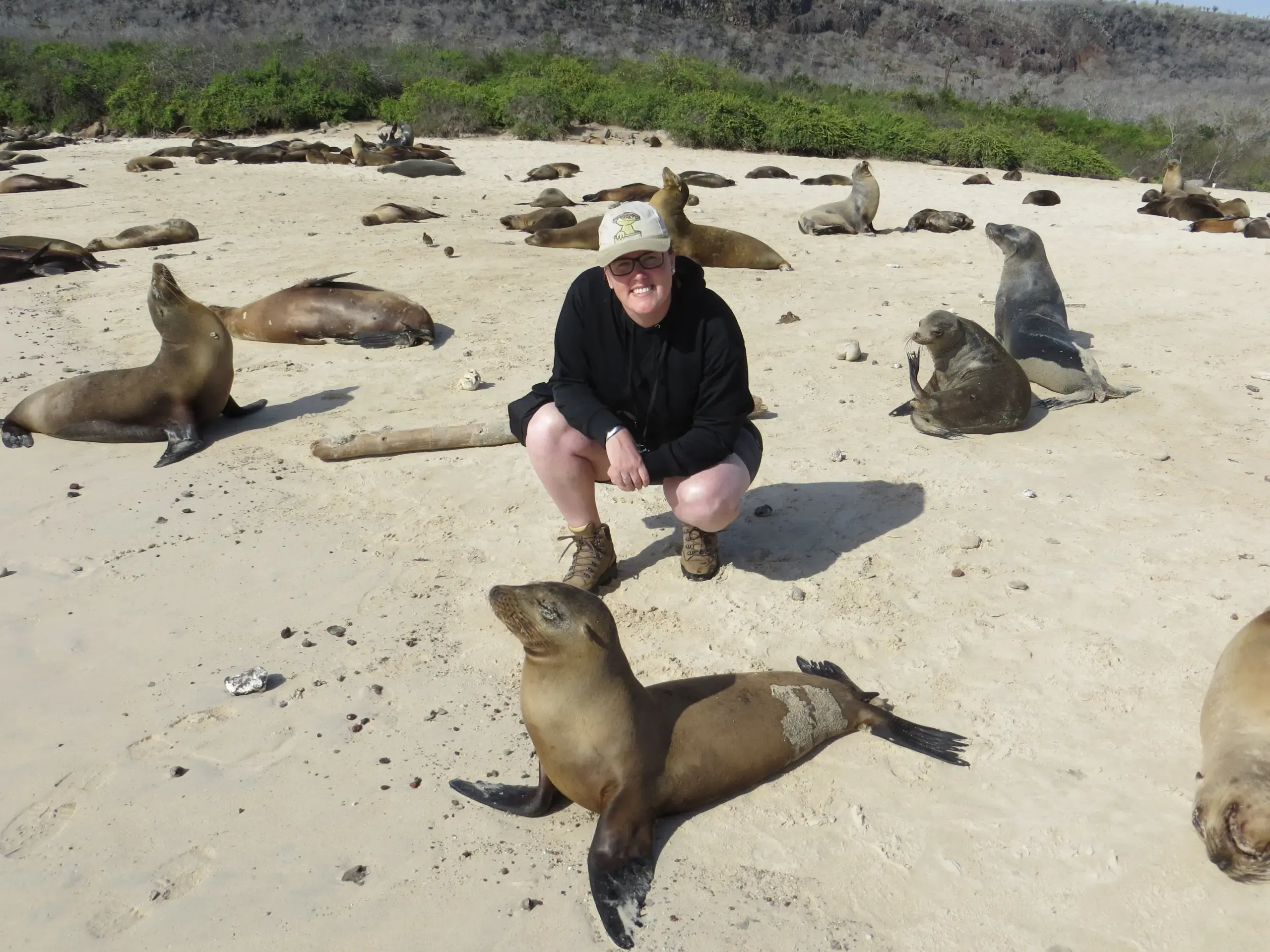 galapagos corine