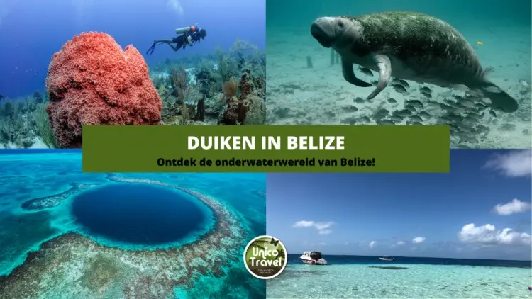 duiken belize